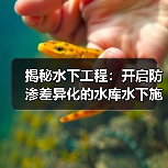揭秘水下工程：开启防渗差异化的水库水下施工新时代（图2）