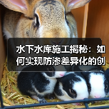 水下水库施工揭秘：如何实现防渗差异化的创新突破（图2）