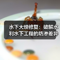 水下大坝修复：破解水利水下工程的防渗差异化新时代（图4）