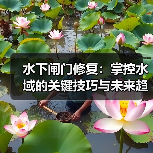 水下闸门修复：掌控水域的关键技巧与未来趋势（图4）
