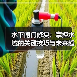水下闸门修复：掌控水域的关键技巧与未来趋势
