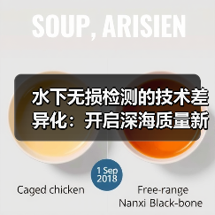 水下无损检测的技术差异化：开启深海质量新纪元（图2）