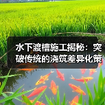 水下渡槽施工揭秘：突破传统的浇筑差异化策略（图4）