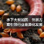 水下大坝加固：创新方案引领行业差异化发展