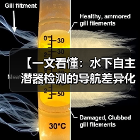 【一文看懂：水下自主潜器检测的导航差异化实战指南】