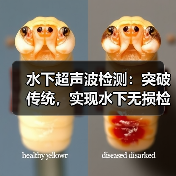 水下超声波检测：突破传统，实现水下无损检测的精准革命（图4）