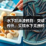 水下超声波检测：突破传统，实现水下无损检测的精准革命（图2）