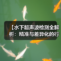 【水下超声波检测全解析：精准与差异化的行业革新】（图4）
