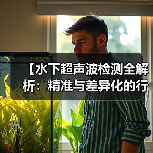 【水下超声波检测全解析：精准与差异化的行业革新】（图3）