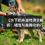 【水下超声波检测全解析：精准与差异化的行业革新】（图2）