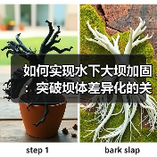 如何实现水下大坝加固：突破坝体差异化的关键方案（图2）