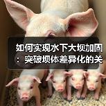 如何实现水下大坝加固：突破坝体差异化的关键方案（图3）