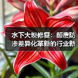 水下大坝修复：颠覆防渗差异化革新的行业新篇章（图3）