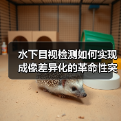 水下目视检测如何实现成像差异化的革命性突破（图2）