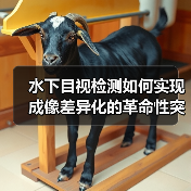 水下目视检测如何实现成像差异化的革命性突破