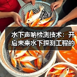 水下声呐检测技术：开启未来水下探测工程的新纪元（图3）