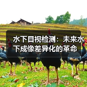 水下目视检测：未来水下成像差异化的革命（图4）