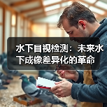 水下目视检测：未来水下成像差异化的革命