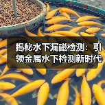 揭秘水下漏磁检测：引领金属水下检测新时代的技术革命（图3）