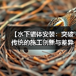 【水下锚体安装：突破传统的施工创新与差异化实现】（图4）