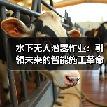水下无人潜器作业：引领未来的智能施工革命（图2）
