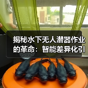 揭秘水下无人潜器作业的革命：智能差异化引领未来（图4）