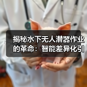 揭秘水下无人潜器作业的革命：智能差异化引领未来（图3）