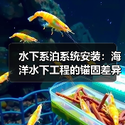 水下系泊系统安装：海洋水下工程的锚固差异化揭秘（图4）