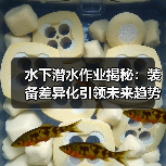水下潜水作业揭秘：装备差异化引领未来趋势（图2）