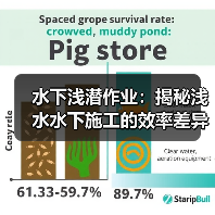 水下浅潜作业：揭秘浅水水下施工的效率差异化战略（图2）