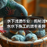 水下浅潜作业：揭秘浅水水下施工的效率差异化战略（图3）