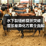 水下裂缝修复新突破：灌浆差异化方案全面解析（图3）