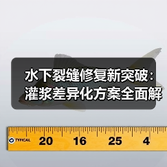 水下裂缝修复新突破：灌浆差异化方案全面解析（图2）