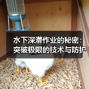 水下深潜作业的秘密：突破极限的技术与防护差异化策略（图2）
