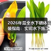2026年最全水下锚体安装指南：实现水下施工的差异化（图3）