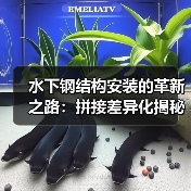 水下钢结构安装的革新之路：拼接差异化揭秘（图4）