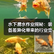 水下潜水作业揭秘：装备差异化带来的行业变革（图3）