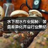 水下潜水作业揭秘：装备差异化开启行业新纪元（图2）