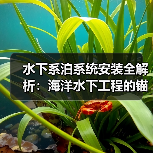 水下系泊系统安装全解析：海洋水下工程的锚固差异化策略（图3）