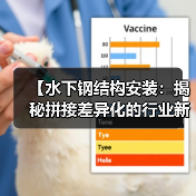 【水下钢结构安装：揭秘拼接差异化的行业新趋势】（图4）