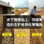 水下围堰施工：突破常规的支护差异化策略揭秘（图3）