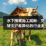 水下围堰施工揭秘：突破支护差异化的行业奥义（图3）