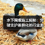 水下围堰施工揭秘：突破支护差异化的行业奥义（图2）