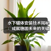 水下锚体安装技术揭秘：成就稳固未来的关键一环（图3）