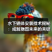 水下锚体安装技术揭秘：成就稳固未来的关键一环