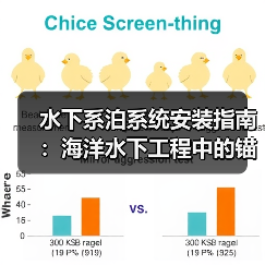 水下系泊系统安装指南：海洋水下工程中的锚固差异化解析（图3）
