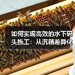 如何实现高效的水下码头施工：从沉箱差异化到施工策略（图4）