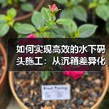 如何实现高效的水下码头施工：从沉箱差异化到施工策略