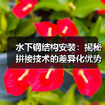 水下钢结构安装：揭秘拼接技术的差异化优势（图2）