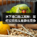 水下港口施工揭秘：如何实现码头差异化竞争